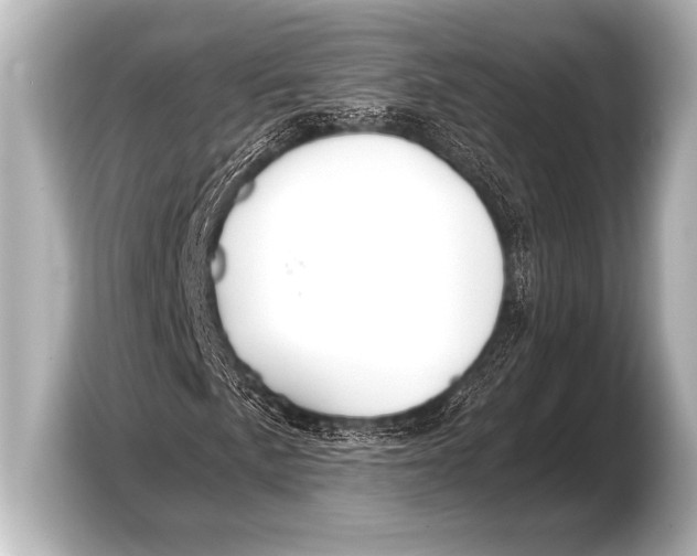 X0000103421057200810031326