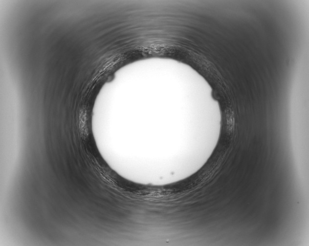 X0000103421060200810031326