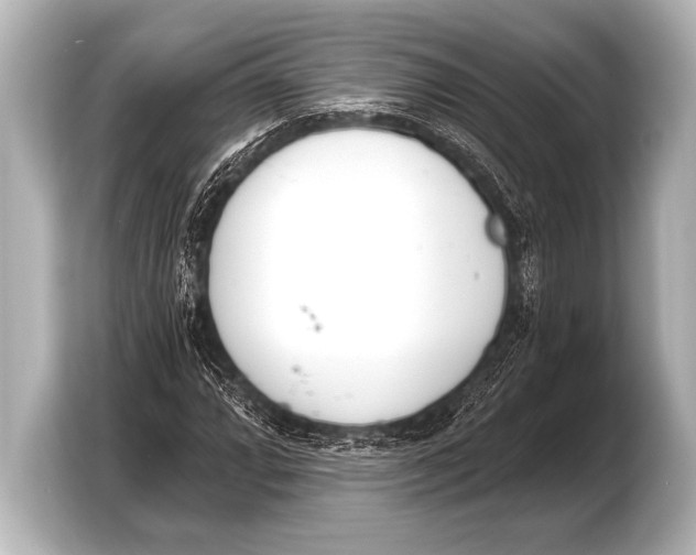 X0000103421064200810031326