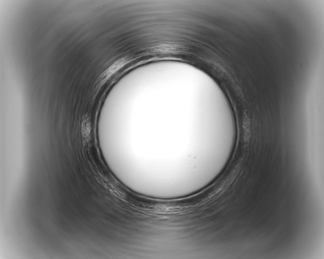 X0000103421065200810031326