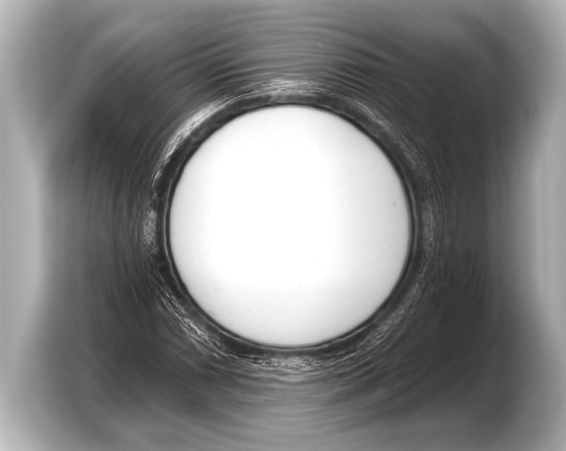 X0000103421066200810031326