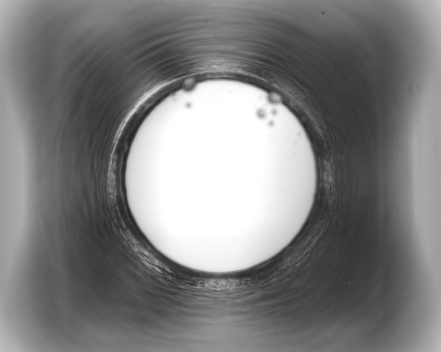 X0000103421068200810031326