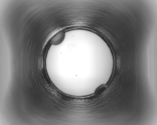 X0000103421069200810031326