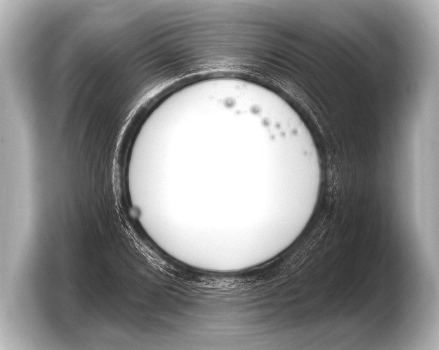 X0000103421072200810031326