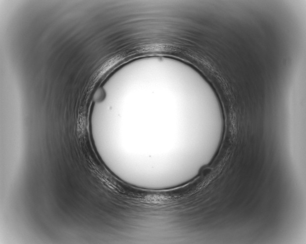 X0000103421073200810031326