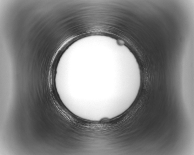 X0000103421076200810031326