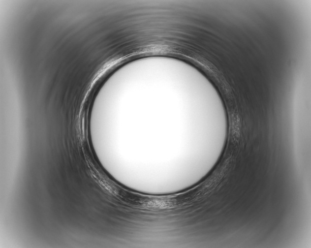X0000103421078200810031326