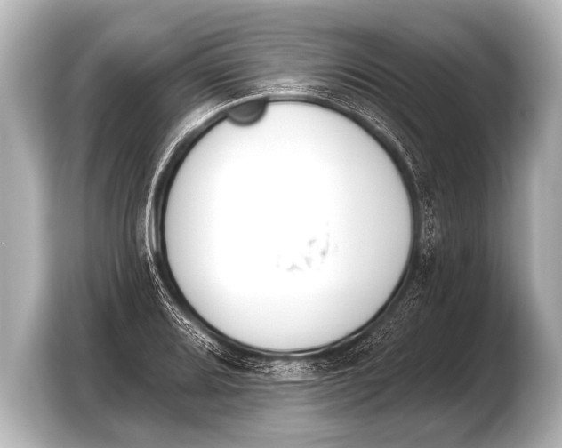 X0000103421080200810031326