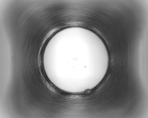 X0000103421082200810031326