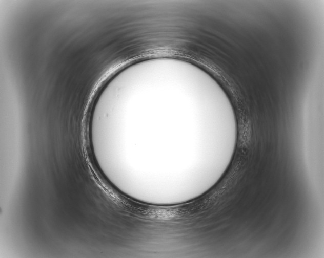 X0000103421086200810031326