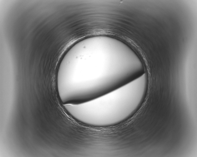 X0000103421089200810031326