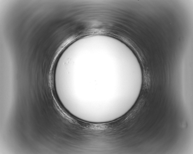 X0000103421090200810031326