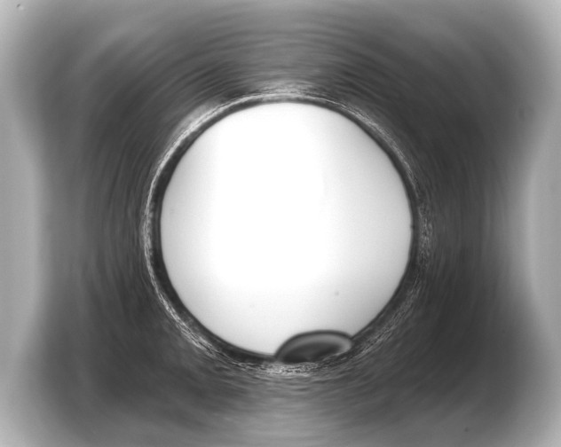 X0000103421093200810031326