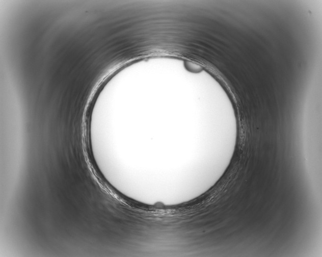 X0000103421096200810031326