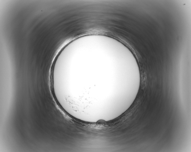 X0000103421103200810031326