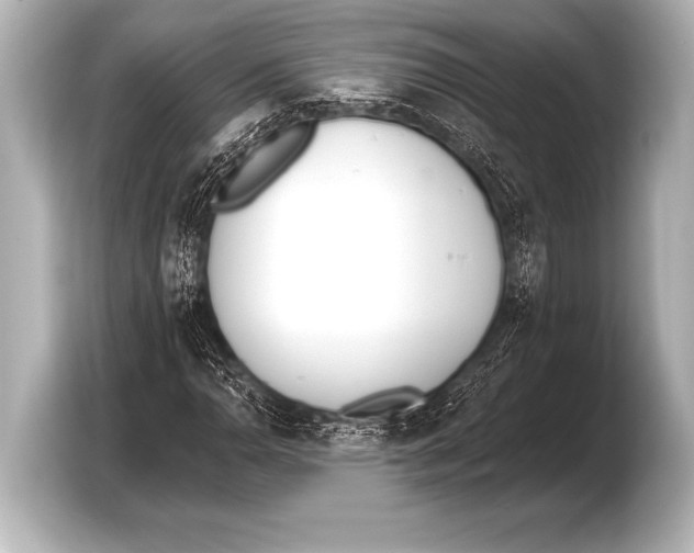 X0000103421110200810031325