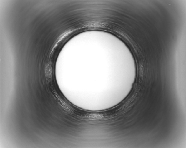 X0000103421115200810031325