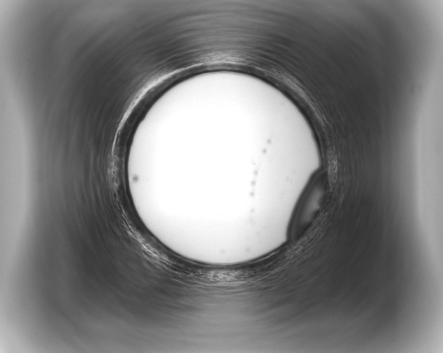 X0000103421116200810031325