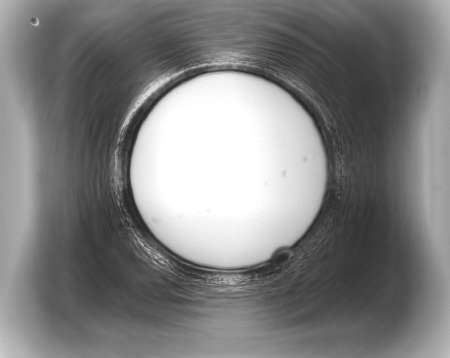 X0000103421120200810031325