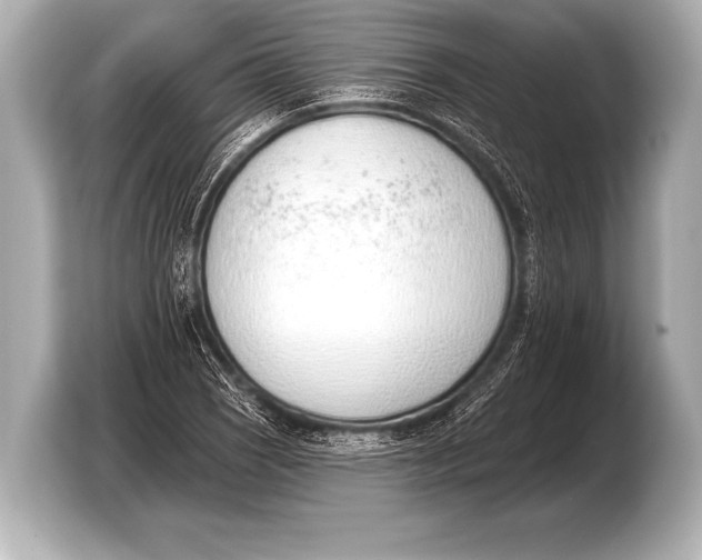 X0000103421121200810031325