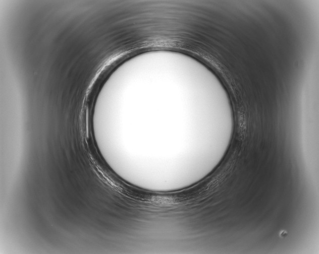 X0000103421123200810031325