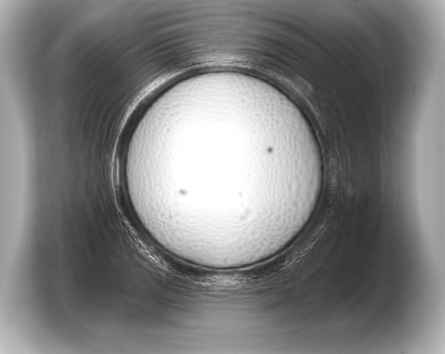 X0000103421125200810031325