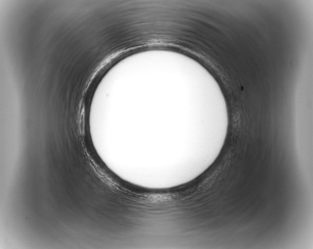 X0000103421126200810031325