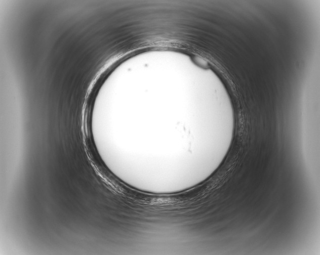 X0000103421128200810031325