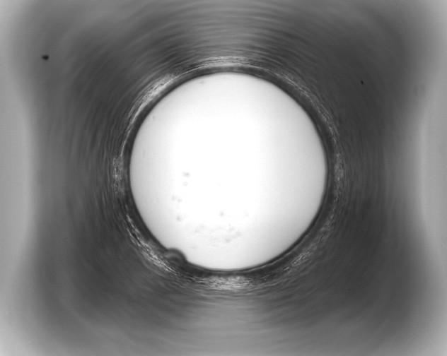 X0000103421129200810031325