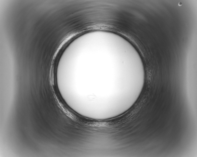 X0000103421131200810031325