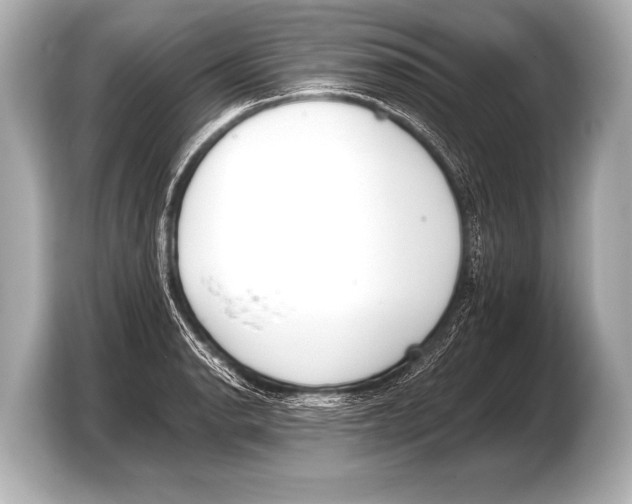 X0000103421134200810031325