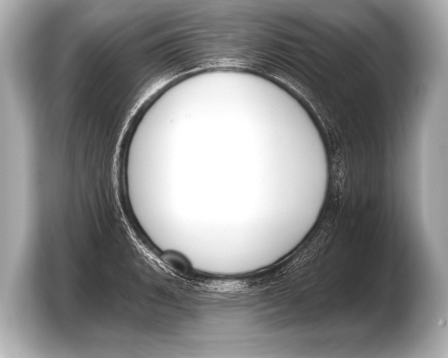 X0000103421135200810031325