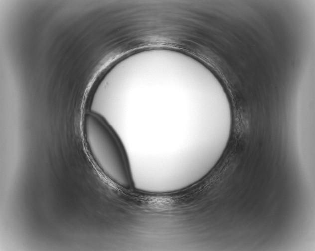 X0000103421136200810031325
