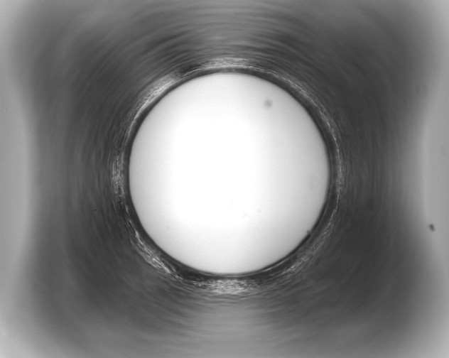 X0000103421137200810031325