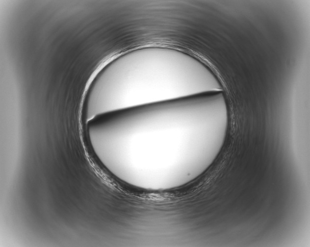 X0000103421138200810031325
