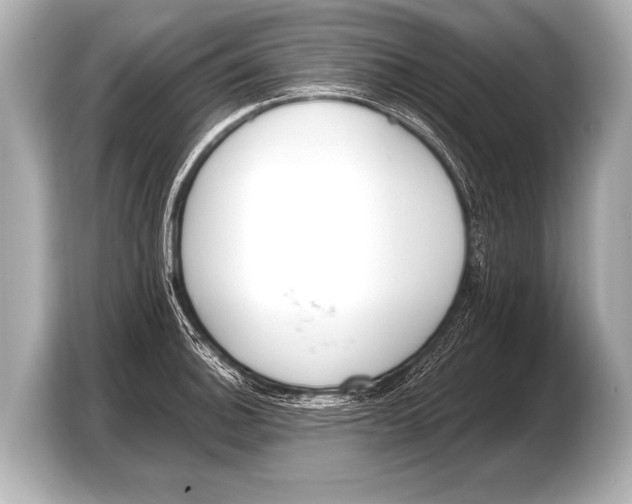 X0000103421140200810031325