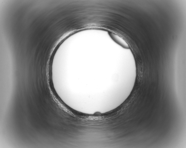 X0000103421142200810031325