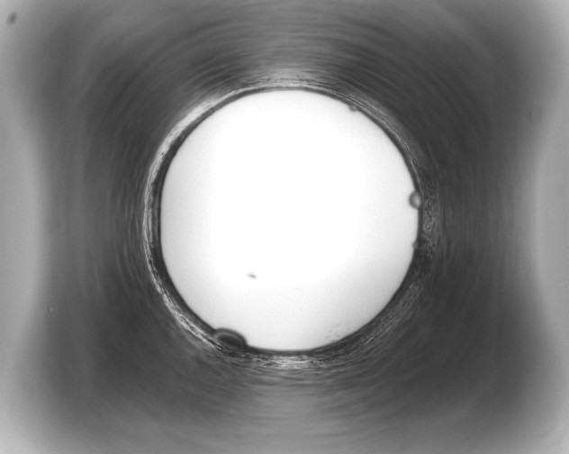 X0000103421144200810031325