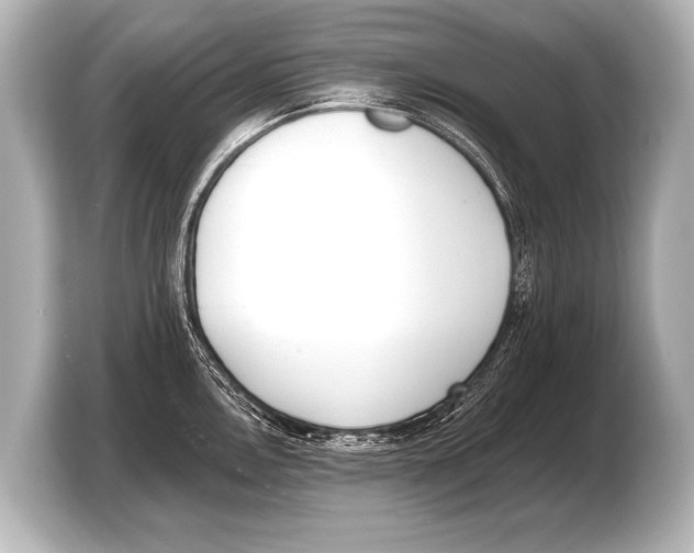 X0000103421146200810031325