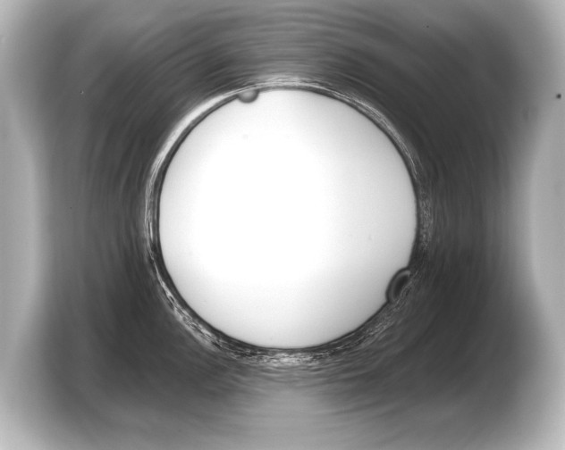X0000103421148200810031326