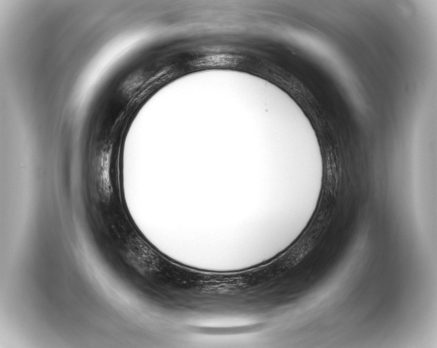 X0000103421150200810031326