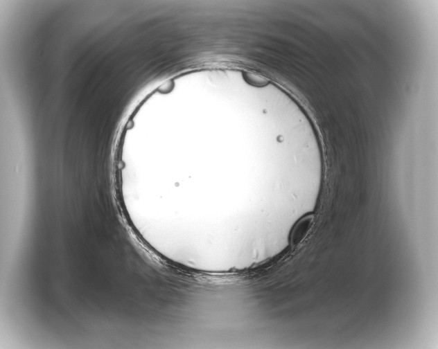 X0000103421152200810031326