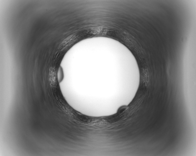 X0000103421154200810031325