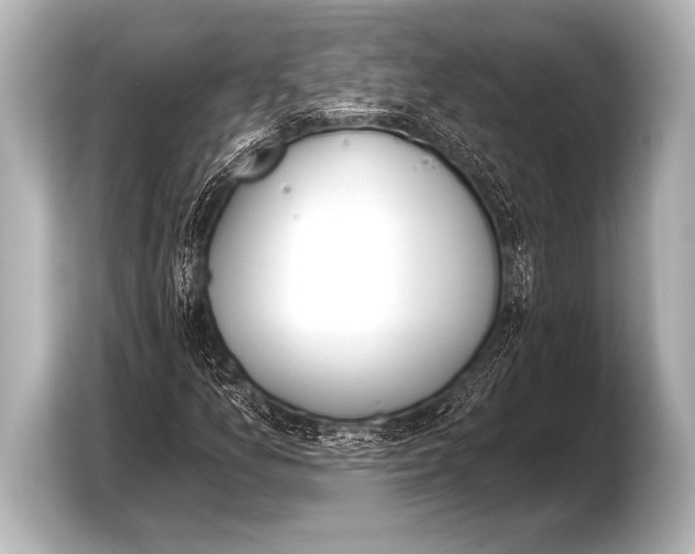 X0000103421157200810031325