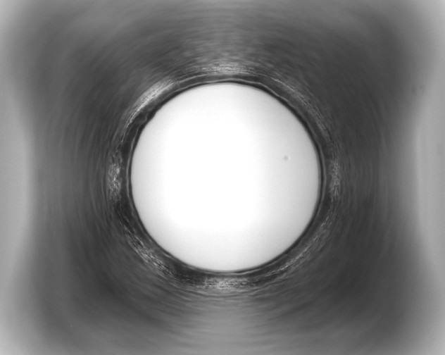 X0000103421163200810031325