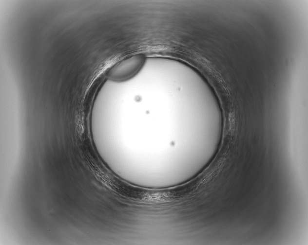 X0000103421165200810031325