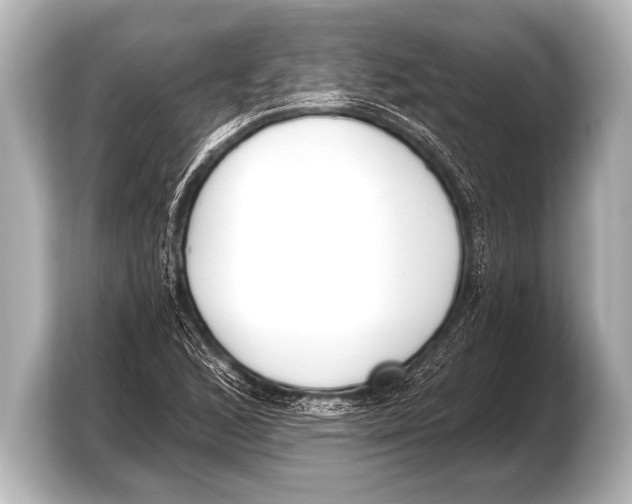 X0000103421168200810031325