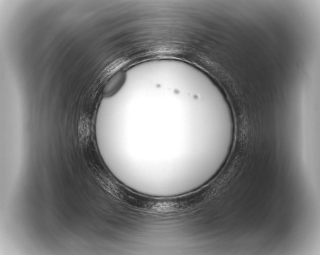X0000103421169200810031325