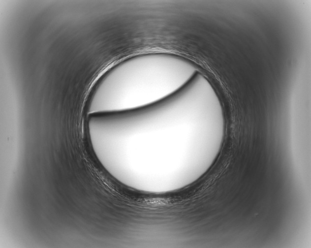 X0000103421173200810031325