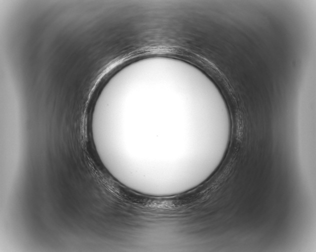 X0000103421174200810031325